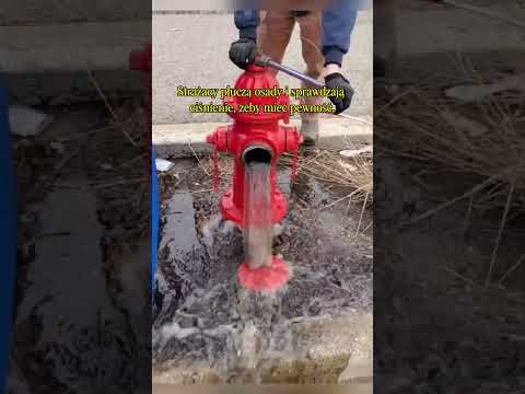 Hydrant na straży